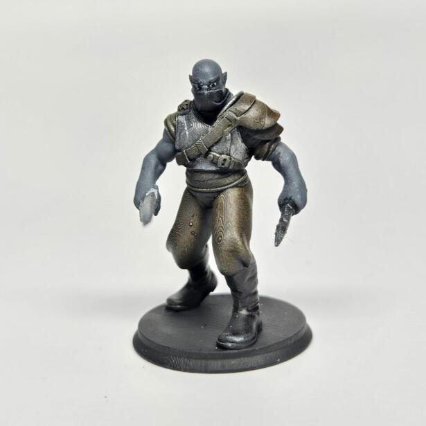 Bandit Veteran